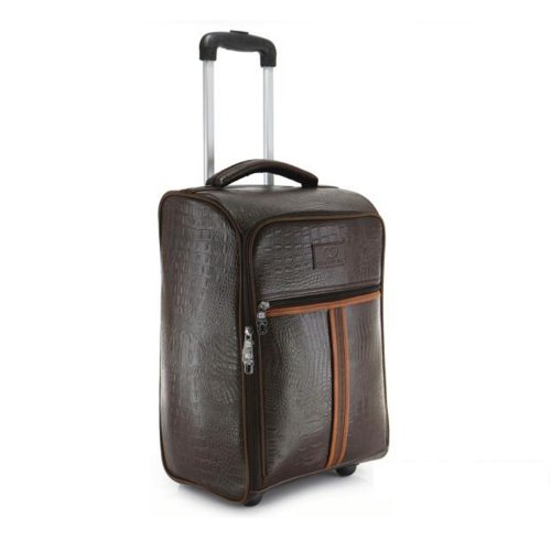 Brown textured trolly bag